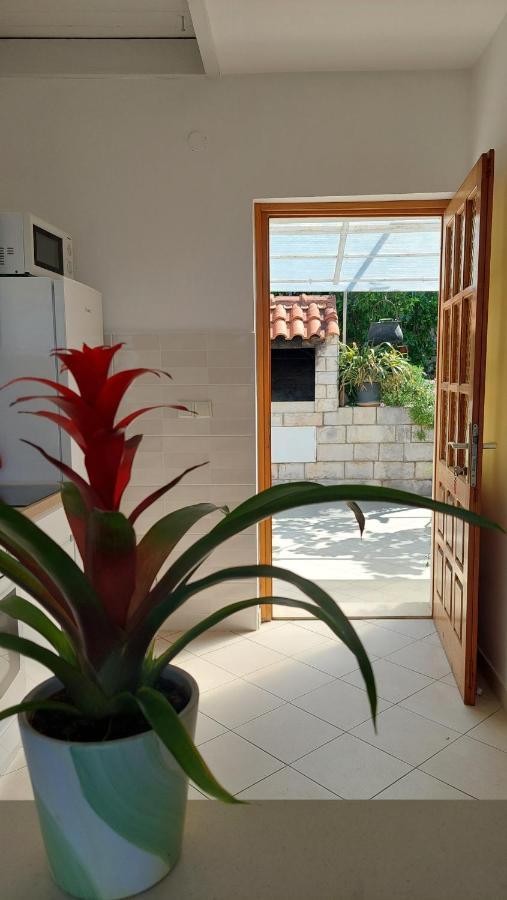 Apartmani Matea Затон Экстерьер фото